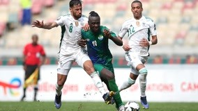 category-architecture